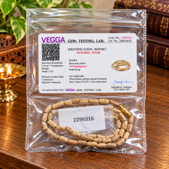 Mridanga Kanthi Mala (1R)