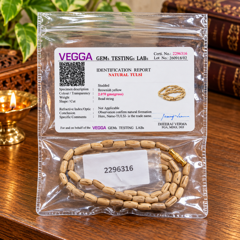Mridanga Kanthi Mala (1R)