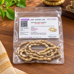 Mridanga Kanthi Mala (2R)