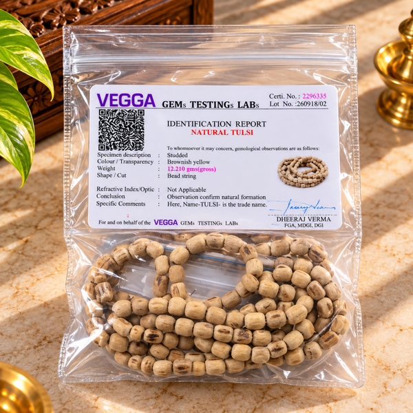 100% Pure Vrindavan Certified Tulsi Gol Big Dana Kanthi Mala (3 Round)