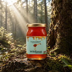 Pure Wild Forest Honey 250g