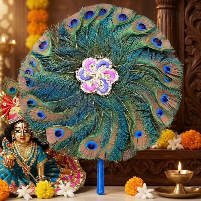 Single Side Peacock Feather Fan 12 Inch